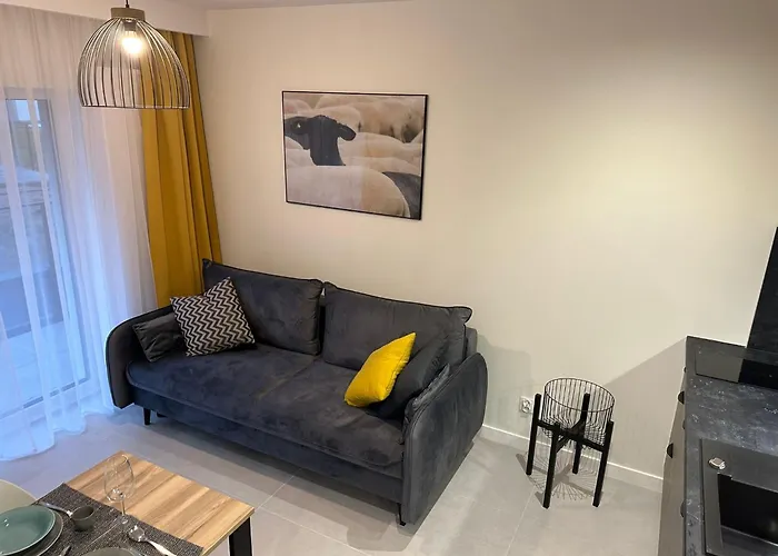 Apartamenty Czarne Owce