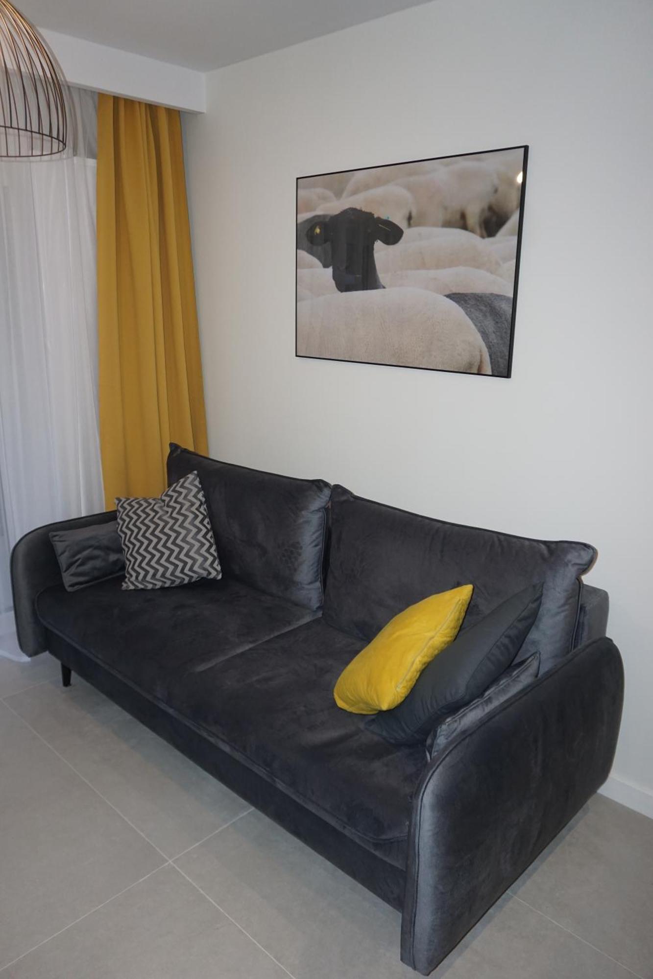 Czarne Owce Apartment