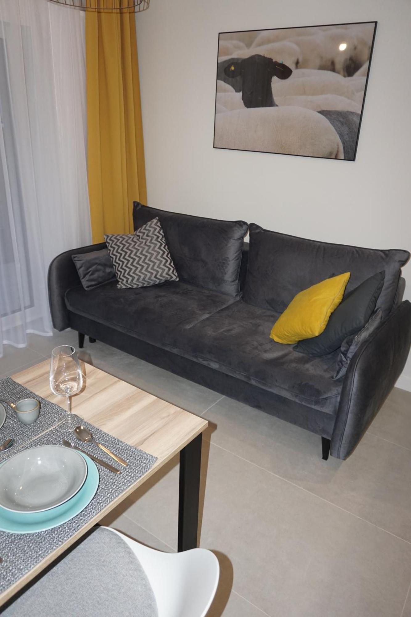 Apartament Czarne Owce