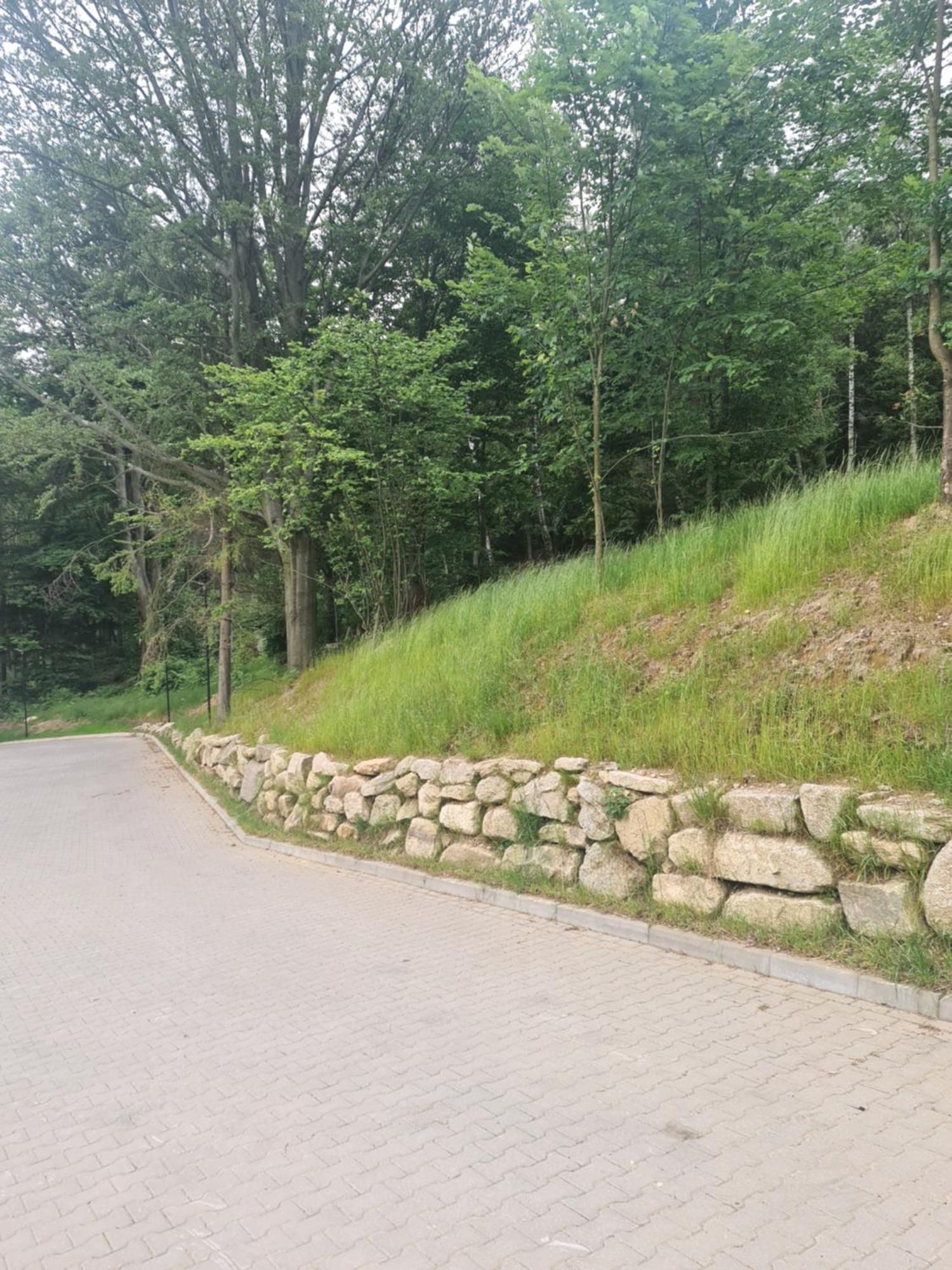 Czarne Owce Apartment Szklarska Poreba